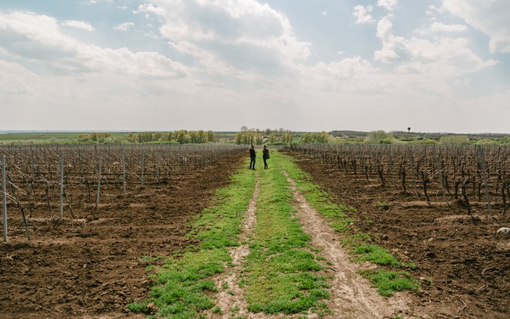 Maróti wine tasting with wines from multiple vintages galéria kép