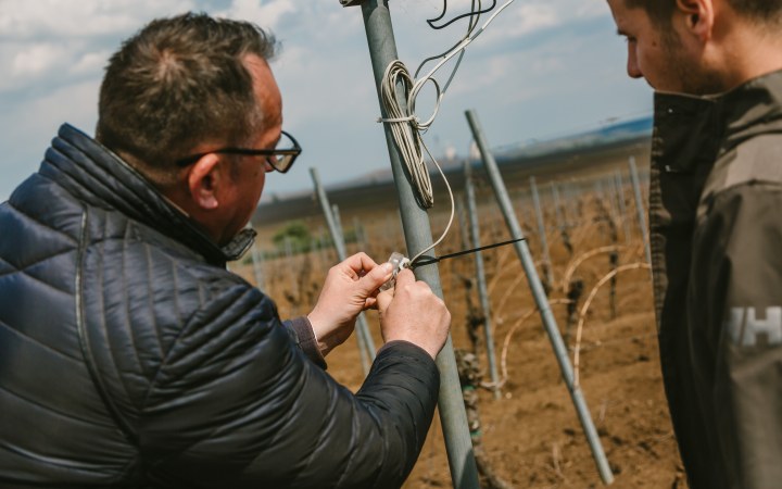 Maróti wine tasting with wines from multiple vintages galéria kép