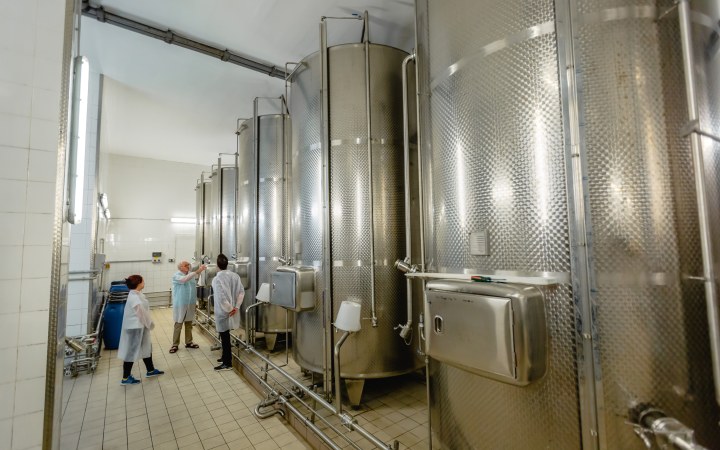 Mezei wine tasting with sparkling wine and processing plant tour