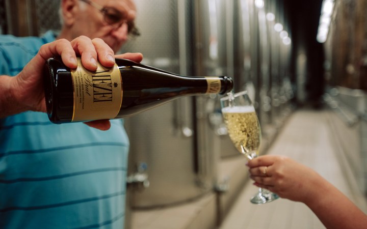 Mezei wine tasting with sparkling wine and processing plant tour