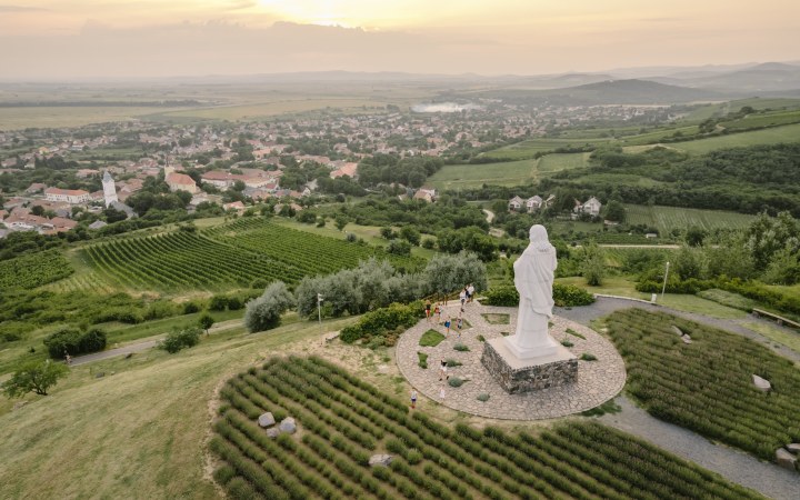 Myrtus wine tasting with basic Tokaj wines galéria kép