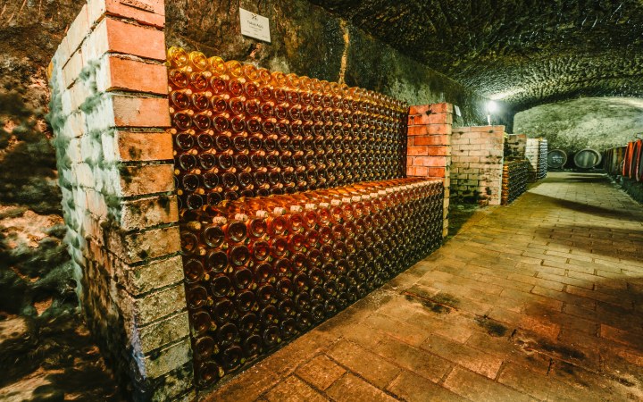 Naár wine tasting in a UNESCO World Heritage cellar