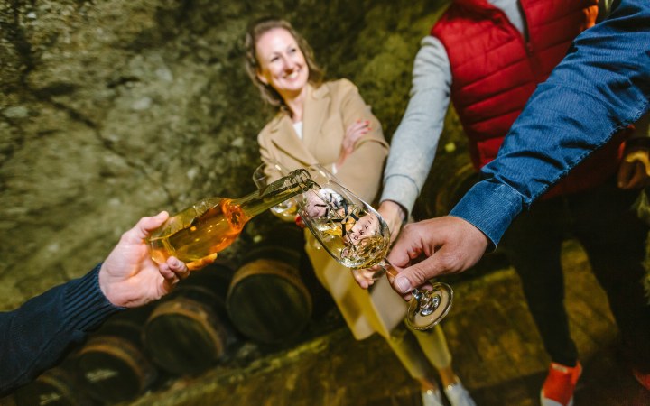 Naár wine tasting in the Gombos Hill cellar row with full assortment