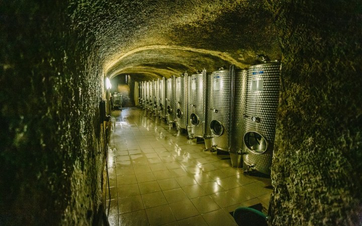 Naár wine tasting in the Gombos Hill cellar row with full assortment