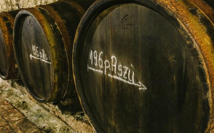 Naár wine tasting in the Gombos Hill cellar row with full assortment