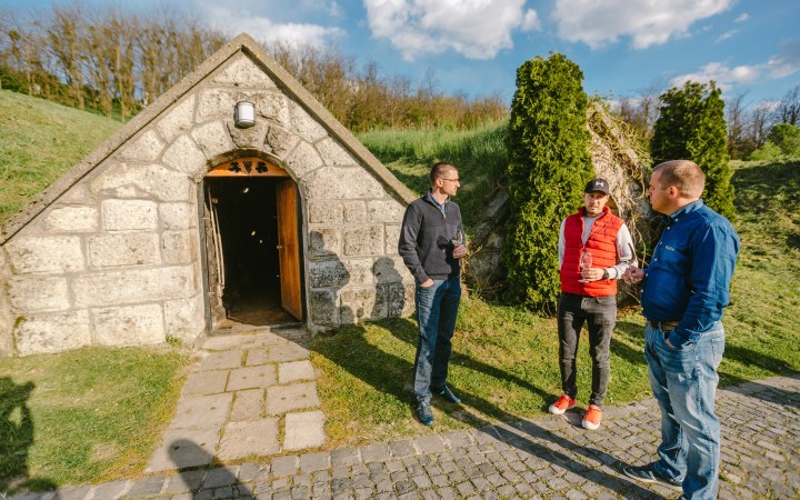 Naár wine tasting in the Gombos Hill cellar row with full assortment