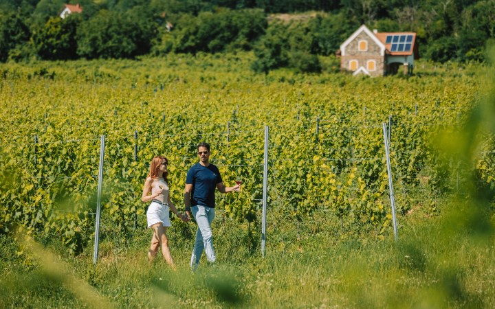 Nagy and Nagy wine tasting at the new wave Balaton winery galéria kép