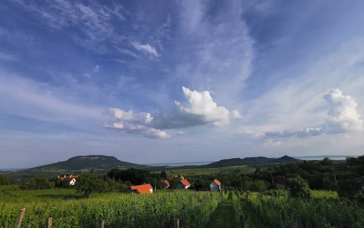Napsárkán borkóstoló egy biodinamikus gazdaság szemléletével galéria kép