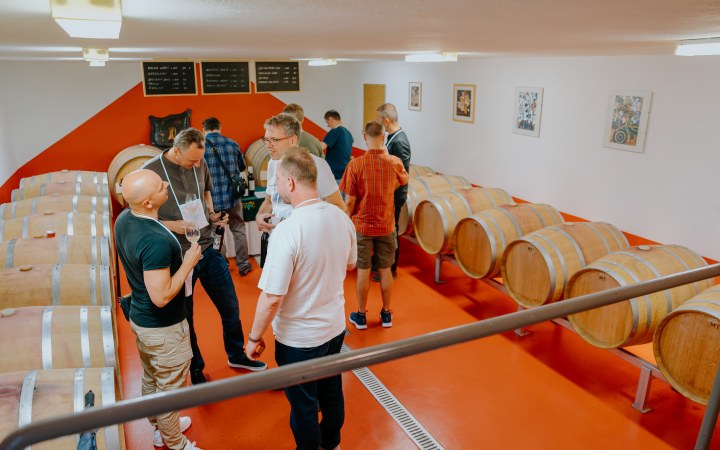 Navara wine tasting with a cellar tour and bread with lard galéria kép