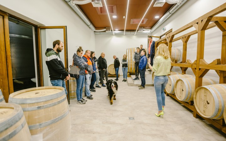 Nyilas borkóstoló a 3 generációs pincészetnél galéria kép