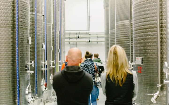 Nyilas borkóstoló a 3 generációs pincészetnél galéria kép