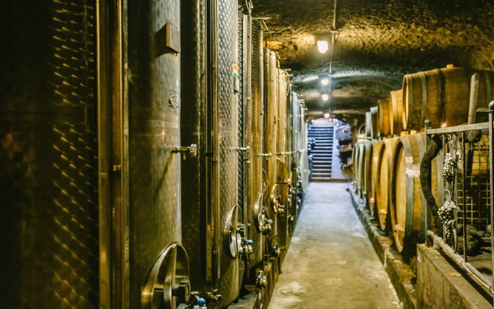 Pálinkás wine tasting in a multi-level cellar labyrinth