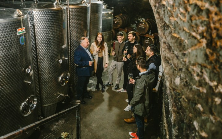 Pálinkás wine tasting in a multi-level cellar labyrinth