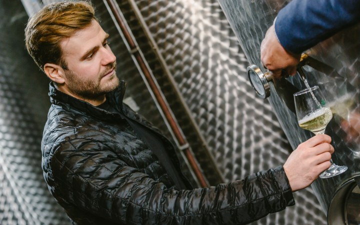 Pálinkás wine tasting in the belly of the volcanic mountain