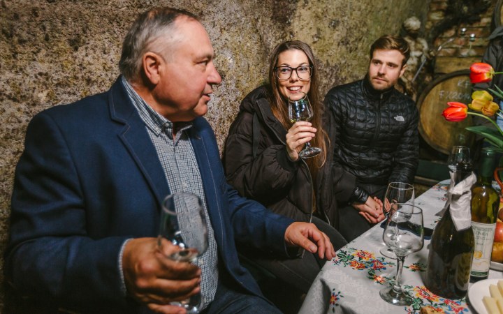 Pálinkás wine tasting in the belly of the volcanic mountain