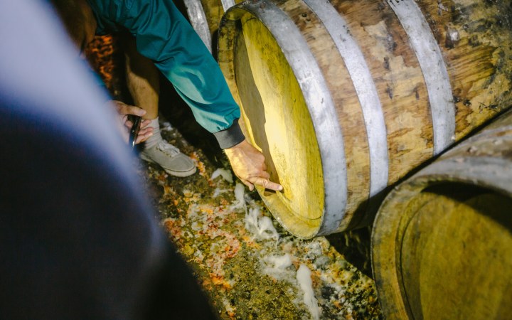Pannon Tokaj wine tasting with authentic Tokaj specialties galéria kép