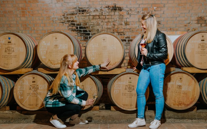 Pannonhalmi Főapátság wine tasting with a combined cellar tour and walking tasting