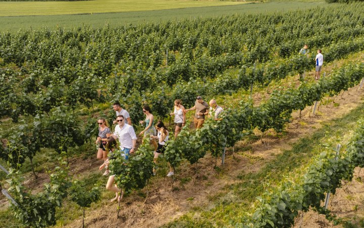 PapPince wine tasting in a family-friendly atmosphere galéria kép