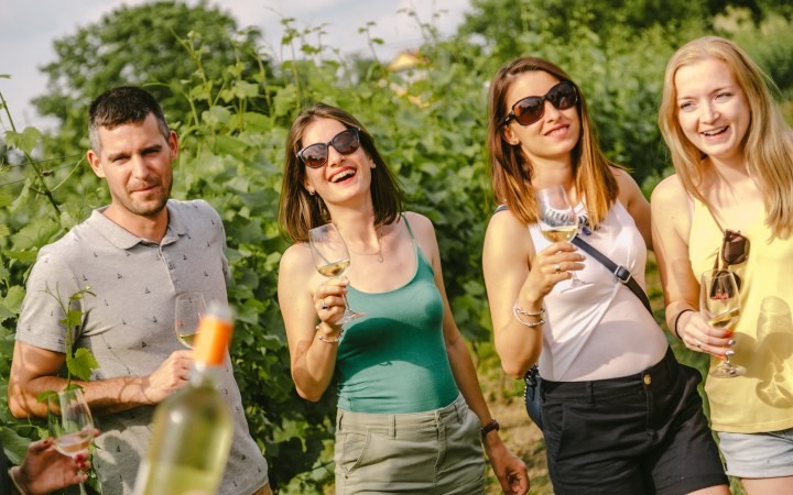 PapPince wine tasting in a family-friendly atmosphere galéria kép