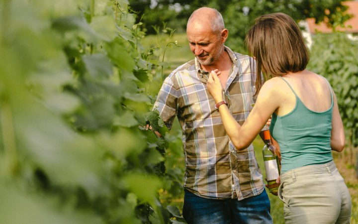 PapPince borkóstoló családias hangulatban
