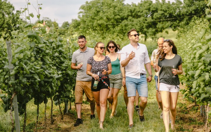 PapPince borkóstoló borvacsorával vagy ebéddel kemencében sült étellel