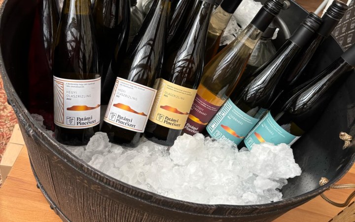 Patányi borkóstoló egy családi pincészet terroir-központú és hiteles badacsonyi boraival galéria kép