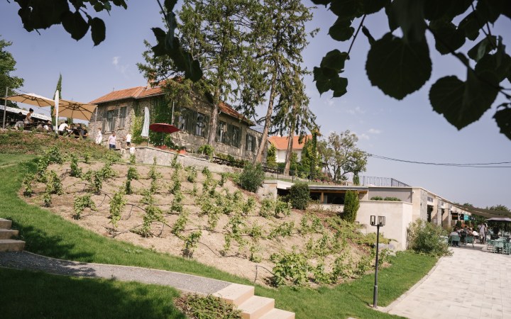 Patányi borkóstoló egy családi pincészet terroir-központú és hiteles badacsonyi boraival galéria kép