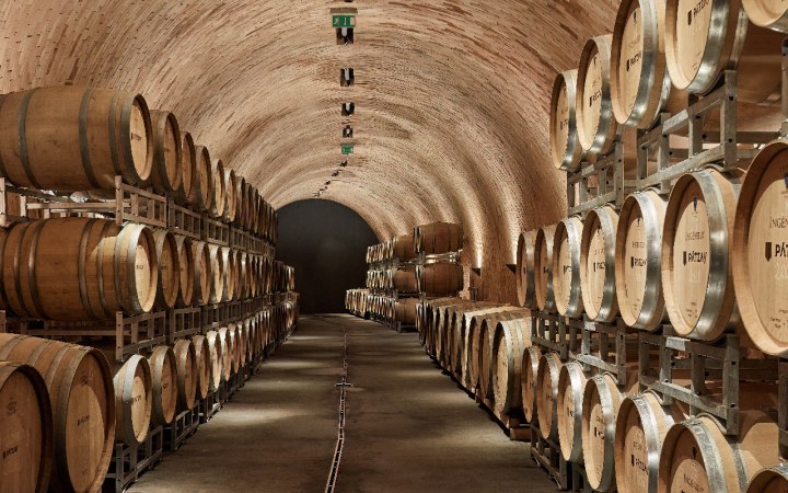 Pátzay borkóstoló a birtok teljes bejárásával