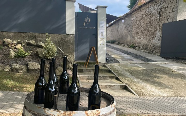 Paunoch wine tasting with organic, hand-harvested grapes galéria kép