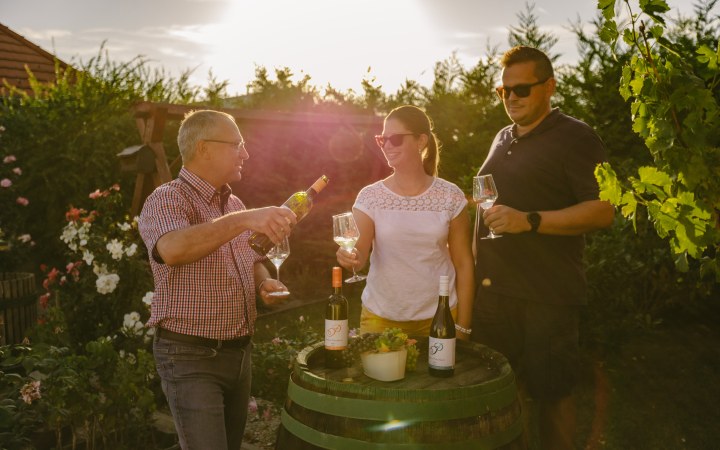 Petőcz wine tasting on the scenic slopes of Bakony galéria kép