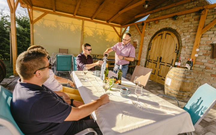 Petőcz wine tasting on the scenic slopes of Bakony galéria kép