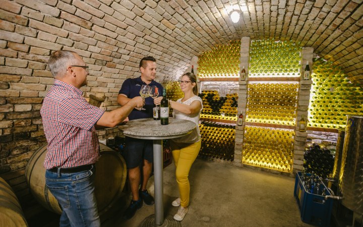 Petőcz wine tasting on the scenic slopes of Bakony galéria kép