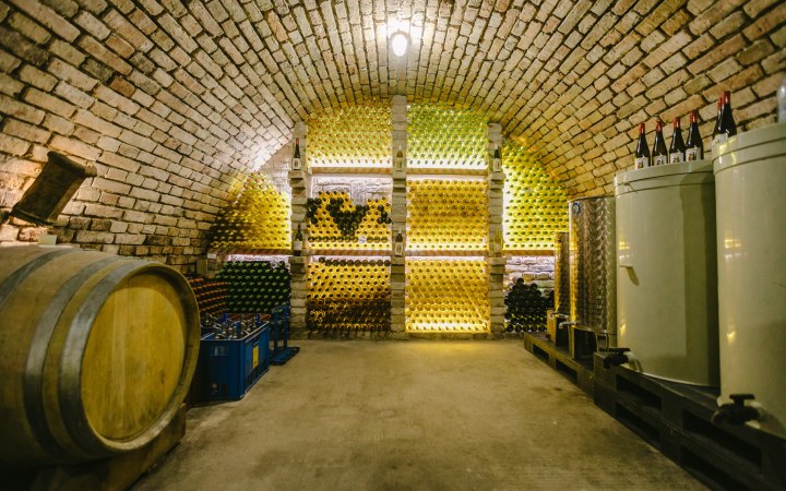 Petőcz wine tasting on the scenic slopes of Bakony galéria kép