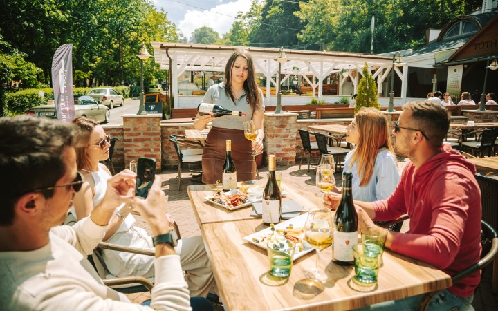 Petrény wine tasting with gold medal wines in the Szépasszony Valley