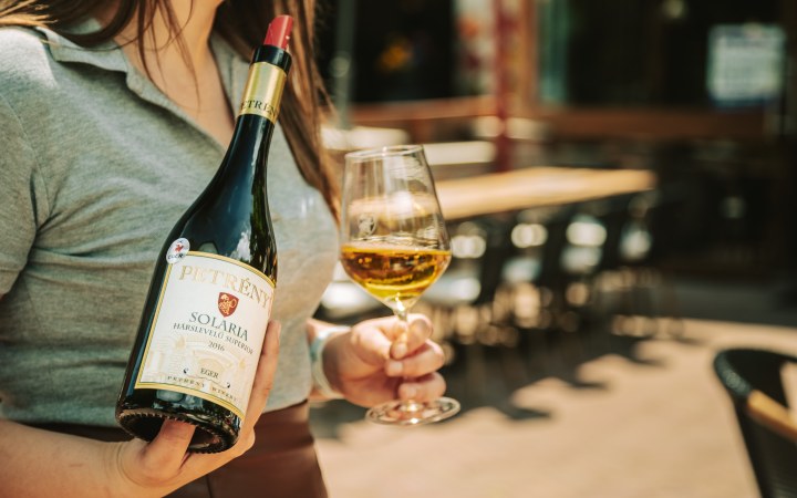 Petrény wine tasting with gold medal wines in the Szépasszony Valley