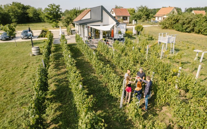 Pino borkóstoló a tradicionális és a modern találkozásánál galéria kép