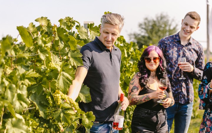 Pino wine tasting with an exciting Kunság assortment galéria kép