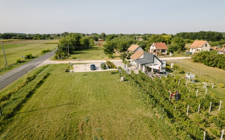 Pino wine tasting with an exciting Kunság assortment galéria kép