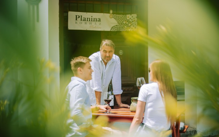 Planina winery wine tasting in the land of Busós