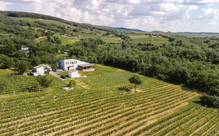 Pócz borkóstoló balatoni panorámával galéria kép