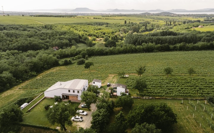 Pócz borkóstoló a természet ölelésében