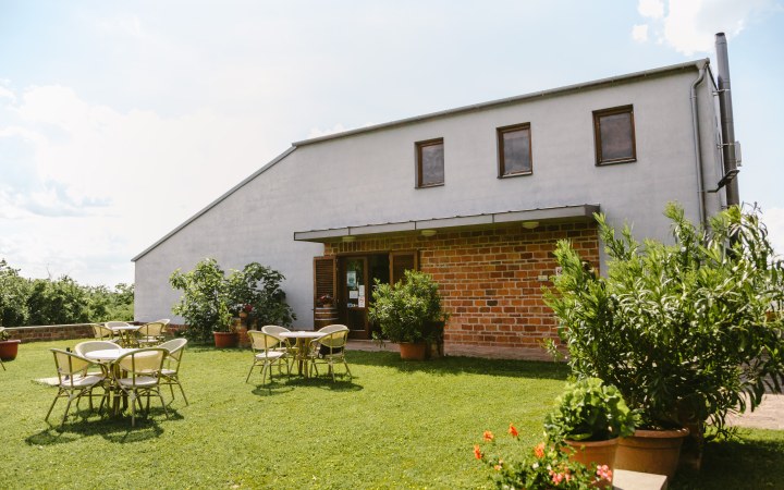 Pócz wine tasting surrounded by beautiful nature galéria kép