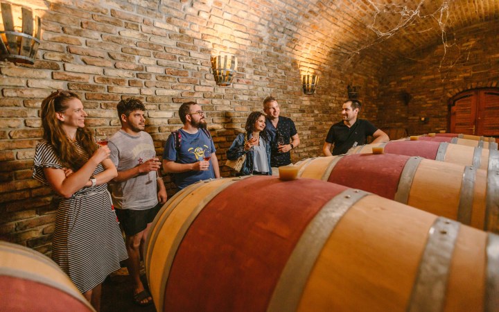 Pócz borkóstoló balatoni panorámával