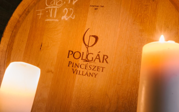Polgár wine tasting with a visit to the wine chapel