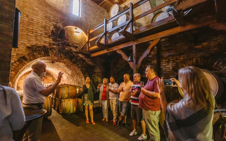 Polgár wine tasting with a visit to the wine chapel