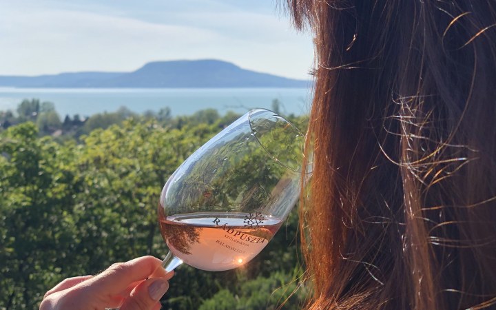 Rádpuszta wine tasting at the former Festetics manor estate galéria kép
