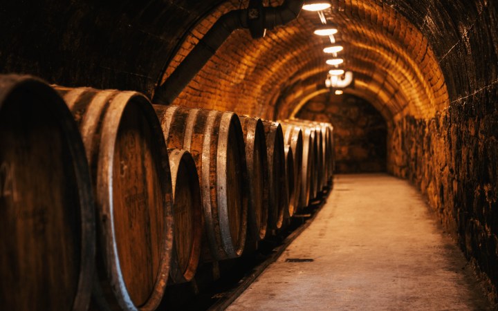 Rókusfalvy wine tasting on the Etyek gastro Ppromenade galéria kép