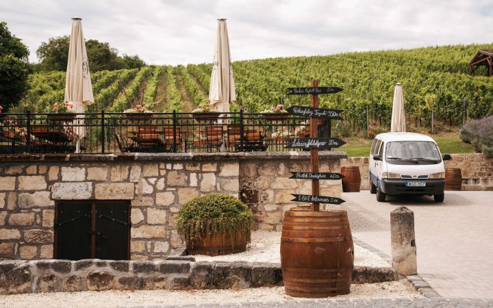 Rókusfalvy wine tasting on the Etyek gastro Ppromenade galéria kép