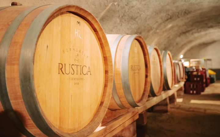 Rustica borkóstoló a kézműves borműhelyben