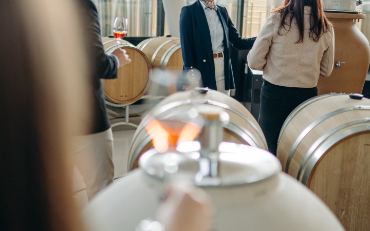 Sauska Tokaj Terroir borkóstoló a Padi-dűlő ikonikus borászatában galéria kép